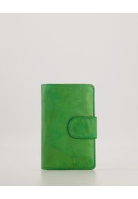 Venezia - ZIELONY PORTFEL 19873 LAV KI GRE. Kolor: zielony. Materiał: skóra #1