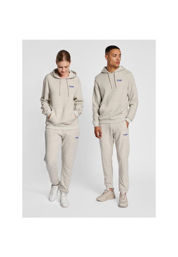 Bluza z kapturem Hummel LGC Austin. Typ kołnierza: kaptur. Kolor: szary, niebieski, wielokolorowy. Materiał: tkanina. Sport: fitness