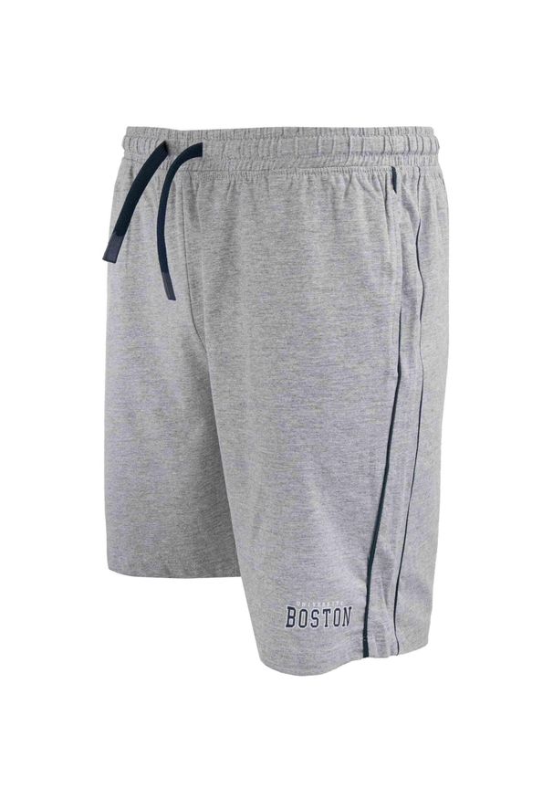 ZFOAM - Szorty męskie Athl. DPT Niceto Melange 2XL – sportowe, oddychające. Kolor: szary, fioletowy, wielokolorowy. Materiał: bawełna