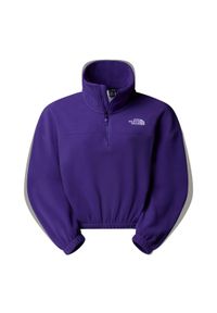 The North Face Polar 100 Glacier Half Zip Fleece Nf0A89J9Nl4. Kolor: fioletowy. Materiał: polar