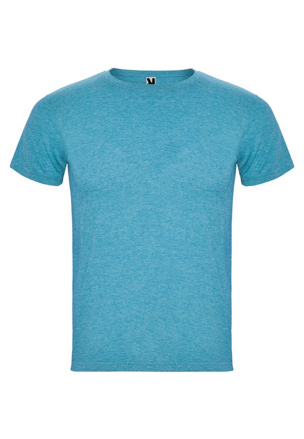 ROLY - Męska Koszulka Z Krótkim Rękawem Fox Heather. Kolor: niebieski. Długość rękawa: krótki rękaw. Długość: krótkie. Sport: turystyka piesza