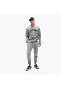 Spodnie męskie GAP 1969 Logo Jogger. Kolor: szary. Długość: długie
