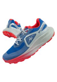 salomon - Buty sportowe męskie Salomon Glide Max TR Run The Alps. Kolor: niebieski, szary, wielokolorowy. Materiał: materiał. Szerokość cholewki: normalna. Sport: bieganie #1