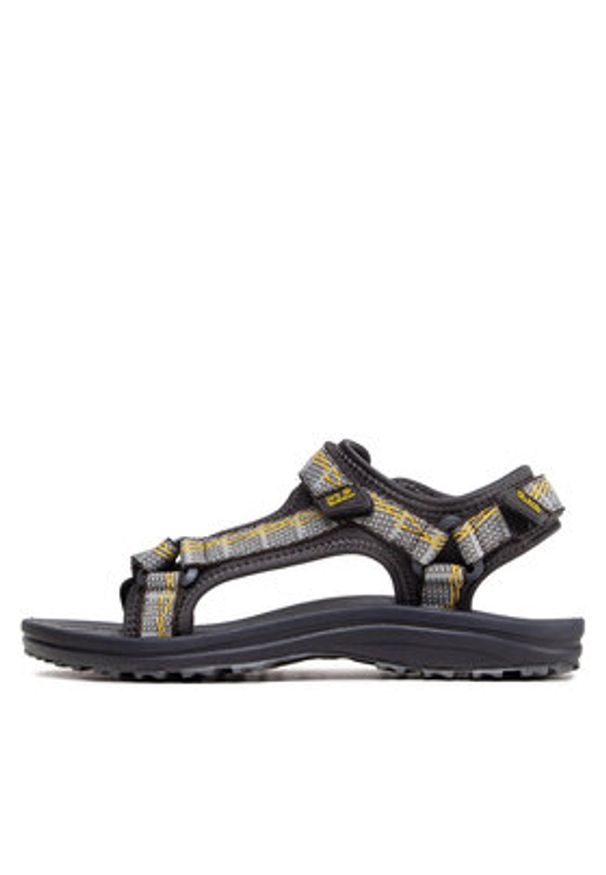 Jack Wolfskin Sandały Wave Breaker M 4052011 Szary. Kolor: szary. Materiał: materiał