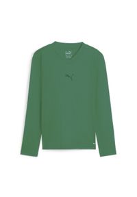 Dziecięca koszulka z długim rękawem Puma TeamGoal Baselayer. Kolor: zielony. Długość rękawa: długi rękaw. Długość: długie. Sport: piłka nożna #1