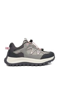 Trekkingi Hunter. Kolor: szary. Sport: turystyka piesza #1