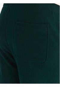 DC Shoes Spodnie dresowe ADYFB03072 GTP0 Zielony Regular Fit. Kolor: zielony. Materiał: bawełna, syntetyk #3