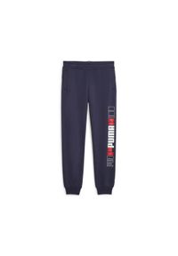 Puma Spodnie Ess+ Logo Lab Fl Cl 67632606. Kolor: niebieski