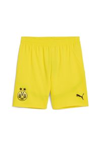 Puma - Męskie szorty Borussia Dortmund 24/25 PUMA Faster Yellow Black. Kolor: czarny, żółty, wielokolorowy. Sport: piłka nożna