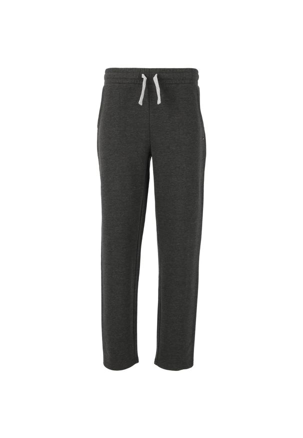 CRUZ - Spodnie dresowe Cruz Ramin. Kolor: szary. Materiał: dresówka. Sezon: lato. Sport: turystyka piesza