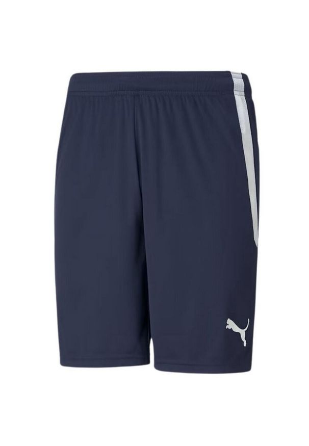 Puma - Męskie Spodenki TeamLIGA. Kolor: niebieski. Sport: turystyka piesza
