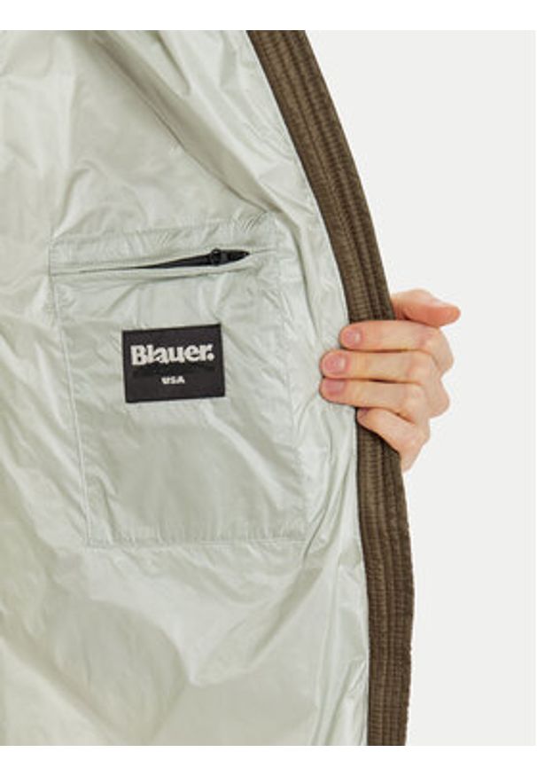 Blauer Kurtka puchowa 24WBLDK03052 Brązowy Regular Fit. Kolor: brązowy. Materiał: syntetyk