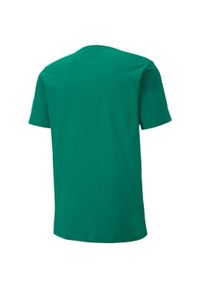 Puma - T-shirt Męski TeamGoal 23. Kolor: zielony