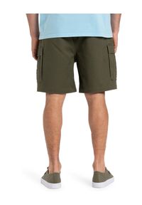 Quiksilver - Szorty spacerowe dla Mężczyzn TAXER 19" Brązowy. Kolor: zielony. Materiał: tkanina, elastan, poliester, bawełna. Długość: krótkie. Sezon: lato