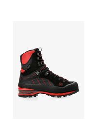 Buty wysokogórskie męskie Hanwag Friction II GTX. Kolor: czarny