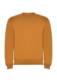 ROLY - Bluza Unisex Dla Dorosłych Clasica Z Okrągłym Dekoltem. Kolor: brązowy, żółty, wielokolorowy