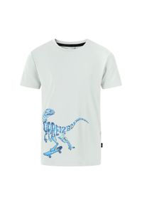 DARE 2B - Koszulka Chłopięca Amuse II Velociraptor. Kolor: zielony. Sport: turystyka piesza