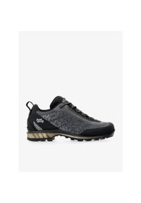 Buty trekkingowe męskie Hanwag Ferrata Light Low GTX. Kolor: szary