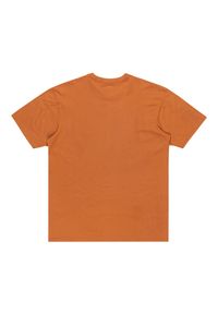 Quiksilver - Koszulka z krótkim rękawem dla Mężczyzn SALT WATER Brązowy. Kolor: brązowy. Materiał: materiał, bawełna. Długość rękawa: krótki rękaw. Długość: krótkie