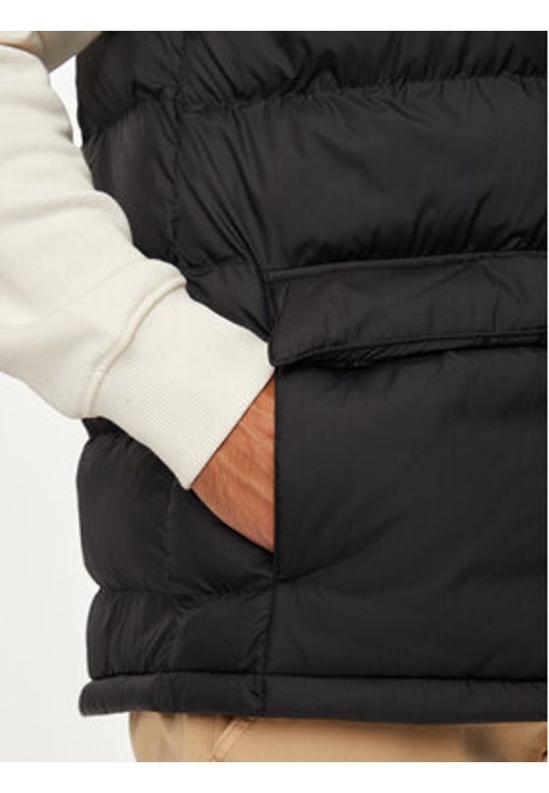 The North Face Bezrękawnik Limbara NF0A89G6 Czarny Regular Fit. Kolor: czarny. Materiał: syntetyk. Długość rękawa: bez rękawów