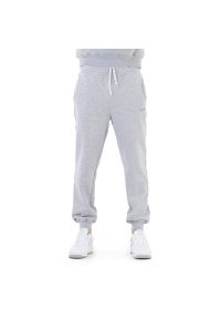 Spodnie Prosto Sweatpants Sewin KL231MPAN4012 - szare. Kolor: szary. Materiał: dresówka, materiał, poliester, bawełna