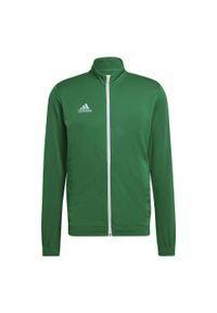 Adidas - Bluza piłkarska męska adidas Entrada 22 Track Jacket. Kolor: biały, zielony, wielokolorowy. Materiał: materiał. Sport: piłka nożna