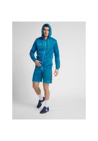 Bluza fitness męska Hummel zip hml AUTHENTIC Poly. Kolor: niebieski, wielokolorowy, turkusowy. Sport: fitness