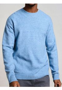 Sinsay - Sweter basic - niebieski. Kolor: niebieski #1