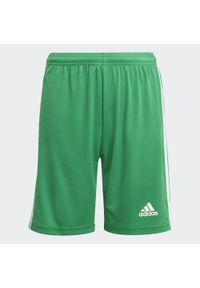 Krótkie Adidas Sport Squad 21 Sho Y Dzieci. Kolor: biały, wielokolorowy, zielony. Materiał: poliester. Długość: krótkie. Styl: sportowy
