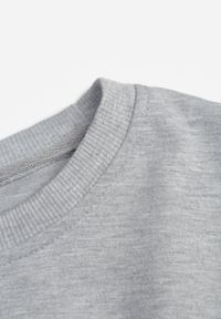 Born2be - Jasnoszara Bluza z Dodatkiem Bawełny Wykończona Ściągaczami Evilaya. Okazja: na co dzień. Kolor: szary. Materiał: bawełna. Długość rękawa: długi rękaw. Długość: długie. Styl: casual, sportowy #5