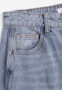 Born2be - Niebieskie Szerokie Jeansy z Bawełną i Wiskozą Zdobione Przeszyciami Harida. Stan: podwyższony. Kolor: niebieski. Wzór: aplikacja. Styl: elegancki, klasyczny #8