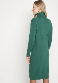 Born2be - Zielona Dzianinowa Sukienka z Bawełną o Prostym Kroju z Golfem Tesala. Okazja: do pracy, na spotkanie biznesowe. Typ kołnierza: golf. Kolor: zielony. Materiał: bawełna, dzianina. Wzór: jednolity. Typ sukienki: proste. Styl: biznesowy, klasyczny #2