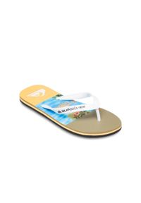 Quiksilver - Klapki dla Mężczyzn MOLOKAI STRIPE 25. Okazja: na plażę. Kolor: niebieski. Materiał: materiał, syntetyk, guma. Styl: sportowy #1