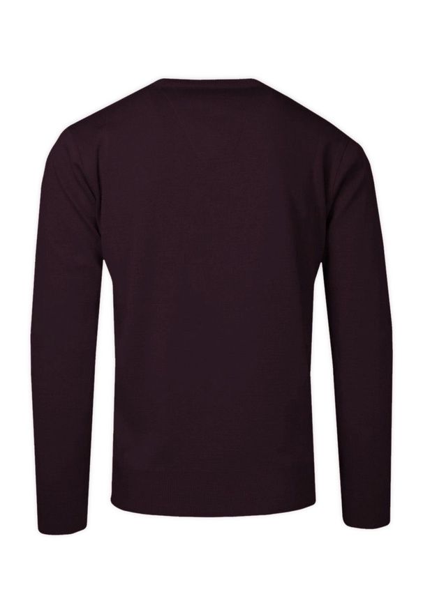 Hovard - Sweter Śliwkowy Wełniany w Serek, V-neck, Męski, Cienki -HOVARD. Okazja: na co dzień, na spotkanie biznesowe, do pracy. Typ kołnierza: dekolt w serek. Materiał: akryl, wełna. Styl: biznesowy, klasyczny, elegancki, casual