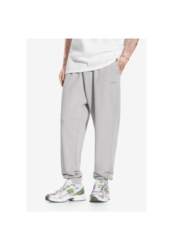 Spodnie dresowe męskie Prosto Big Log. Kolor: szary. Materiał: dresówka