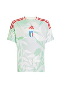 Adidas - Koszulka Italy 25 (Women's Team) Away Kids. Kolor: zielony. Materiał: materiał