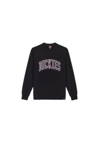 Bluza z długim rękawem Dickies Aitkin. Kolor: czarny. Długość rękawa: długi rękaw. Długość: długie #1