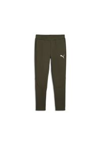 Puma - Męskie spodnie EVOSTRIPE PUMA Dark Olive Green. Kolor: zielony. Sport: fitness, joga i pilates #1