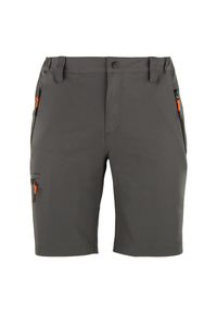 PEAK MOUNTAIN - Spodenki turystyczne Peak Mountain Cessor. Kolor: szary. Sport: turystyka piesza #1