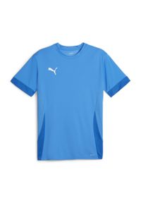 Koszulka dla dzieci Puma TeamGloal. Kolor: niebieski. Sport: piłka nożna #1