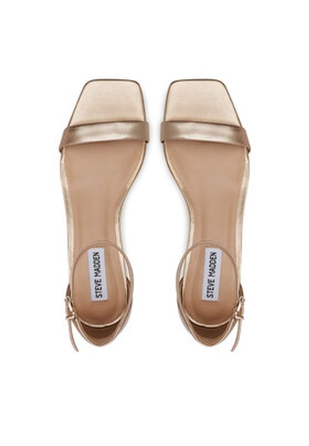 Steve Madden Sandały Gena SM11003579 Złoty. Kolor: złoty. Materiał: skóra