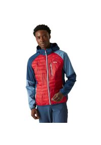 Regatta - Kurtka hybrydowa męska Andreson Pro. Kolor: czerwony. Materiał: materiał, softshell, puch. Sport: turystyka piesza #1