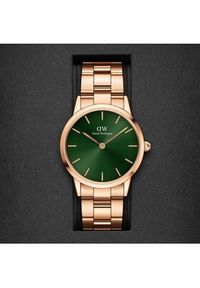 Daniel Wellington Zegarek iconic Emerald DW00100419 Złoty. Kolor: złoty