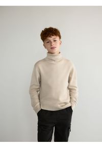 Reserved - Klasyczny golf - beżowy. Typ kołnierza: golf. Kolor: beżowy. Materiał: dzianina, wiskoza. Styl: klasyczny