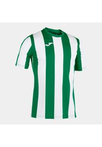 Koszulka do piłki nożnej męska Joma Inter. Kolor: wielokolorowy, biały, zielony. Sport: piłka nożna #1