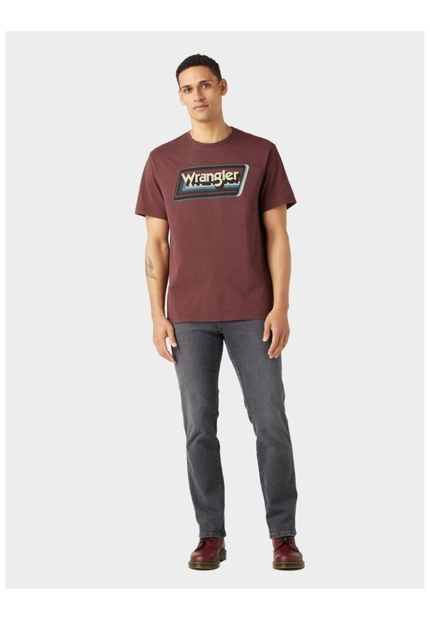 Wrangler - WRANGLER TEXAS MĘSKIE SPODNIE JEANSOWE JEANSY DŻINSY FALCON 112341392 W121013547