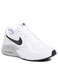 Buty Nike Air Max Excee CD5432 101 White/Black/Pure Platinum. Kolor: biały. Materiał: skóra. Model: Nike Air Max