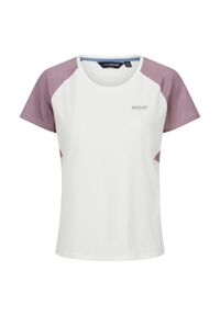 Regatta - T-shirt Damski Emera. Kolor: szary, biały, wielokolorowy. Sport: turystyka piesza