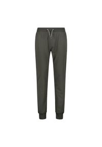 Spodnie męskie turystyczne CMP 31D4337. Kolor: zielony. Sezon: lato. Sport: turystyka piesza #1