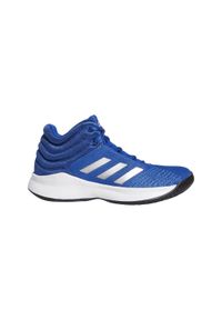 Buty do koszykówki dla dzieci Adidas Pro Spark. Kolor: niebieski. Sport: koszykówka